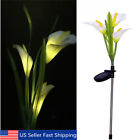 Pmt660748 Unbranded Solar Power Lily Flower Garden Stake Landscape 6930402302737