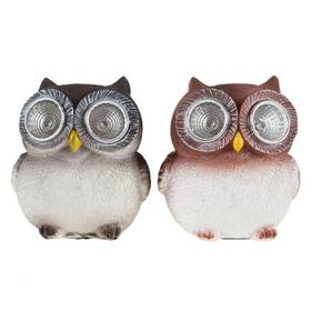 M150083 Pure Garden Baby Owl Solar Lights Set Of 2 Yard Decor Window Sill 3.25 Inch High