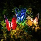 Qlsl131 Qualife Est Butterfly Garden 600740936630