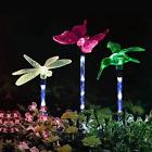 S-fhq-3 Solarmks Garden Lights Solar Outdoor Changing Led 604007665592