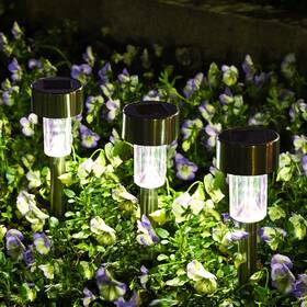Solpex 791334217133 12 Pack Solar Outdoor Lights Pathway Stainless Steel