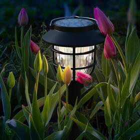 Springwind 768443561242 2 Pack Solar Pathway Lights Outdoor - Bright Powered Garden With