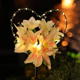 Starryfill 694026799453 Solar Heart Shaped Garden Lights With White Lily 25 Led Warm