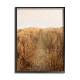 Stupell Industries 196216165814 Summer Sand Dune Pathway Sun Bleached Grassy Landscape Designed By Ian Winst