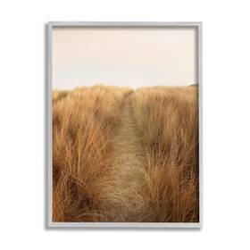 Stupell Industries 196216165852 Summer Sand Dune Pathway Sun Bleached Grassy Landscape Designed By Ian Winst