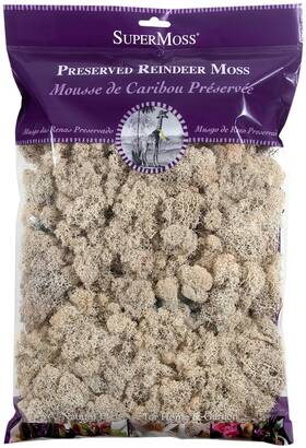 Supermoss 759834217220 21722 Reindeer Moss Preserved Natural 8oz 200 Cubic Inch