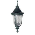Tp0051-h-g Tp Lighting Outdoor Ceiling Hanging Fixture For Practical 847263081953