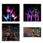 W0003 Solarmart Outdoor Garden Lights Pack Fiber Optic Butterfly 756155472017