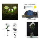 Wedsrflwt2pww Decorative Garden Stakes Outdoor Solar Lights Pack Powered 842880138073
