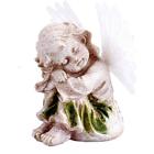 Xy3751 Botoys Solar Powered Angel Fiber Optic Wings Led 857922007057