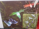 Solar Powered Stake Light Hummingbird,dragonfly Butterfly Color Changing Led. Fixed Price $14.36.