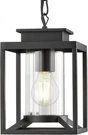 Outdoor Pendant For Porch, 1-LIGHT Black Small-clear Glass,. Fixed Price $87.97.