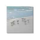 Stupell Industries Sandpipers Flock Sandy Beach Shore Canvas Wall Art, Design.... Fixed Price $46.82.