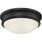 Westinghouse Lighting 6324100 Meadowbrook Two-light Indoor Flush-mount Ceiling. Fixed Price $55.61.