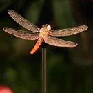 Outdoor Solar Garden Stake Light Color Changing Decorative Led Lamp In-. Fixed Price $13.40.
