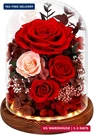 Alupssuc Forever Preserved Real Flowers Delivery Prime, Eternal Fresh Roses. Fixed Price $42.17.