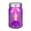 Roman 6.5" B/o Led Edison Bulb Vintage-style Purple Glass Mason Jar Lantern. Fixed Price $22.49.