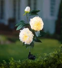 Choice Plow & Hearth White Peony Solar Flower Garden Stake Open Box. Fixed Price $13.95.