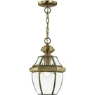 Livex Lighting 2152-01 Monterey Outdoor Pendant Chandeller Antique Brass. Fixed Price $185.96.