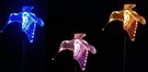 3 Set Hummingbird Up Clear Acrylic Solar Garden Yard Patio Stick Stake Light. Fixed Price $33.99.