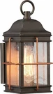 Nuvo Lighting One Outdoor Wall Lantern 60/5831. Fixed Price $194.99.