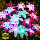 Ahaorigin 8 Pack Lily Solar Garden Lights, 7 Color Changing, Waterproof. Fixed Price $56.99.
