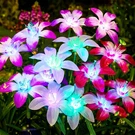Best Ahaorigin Solar Garden Lights Outdoor, 4 Pack Blooming Lily Flowers. Fixed Price $46.15.