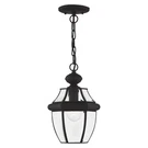 Livex Lighting 2152-04 Monterey 1-LIGHT Outdoor Hanging Lantern Black. Fixed Price $138.97.