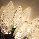 C9 Led Christmas Set Indoor Outdoor Home Holiday Party String Decor. Fixed Price $26.99.