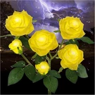 Upgraded Led Solar Garden Stake Lights With 6 Waterproof Rose Flowers. Fixed Price $24.99.