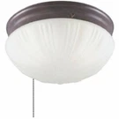 Westinghouse 6720200 Two-light Indoor Flush-mount Ceiling Fixture W/ Pull Chain. Fixed Price $45.88.