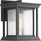 Progress Lighting Endicott Collection 1-LIGHT Clear Seeded Glass Wall. Fixed Price $75.99.