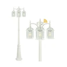 Partphoner Dusk To Dawn Outdoor Lamp Post Light Birdcage, 3 Head Waterproof O.... Fixed Price $231.20.