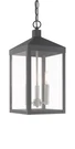 Livex Lighting 20593 Grey Nyack 3-LIGHT 8"W Outdoor Taper Candle Mini Pendant. Fixed Price $499.96.