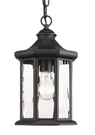 Edition Collection 1-LIGHT Textured Black Clear Water Glass Traditional Outdoor. Fixed Price $59.95.
