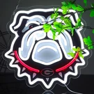 Georgia Neon Signs University Football Team Bulldogs Light Led For .... Fixed Price $43.59.