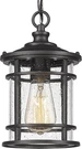 Emliviar Modern Outdoor Pendant Light - Small, Black Seeded Glass. Fixed Price $79.37.