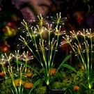 Solar Garden Lights Outdoor: Waterproof 2-PACK Diy Packs, Warm White. Fixed Price $31.99.