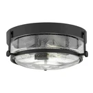 Hinkley 3640BK-CS Harper 15.75" Light Ceiling Mount Clear Seedy Glass Black. Fixed Price $369.55.