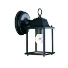 Acclaim Lighting 5001 Builder's Choice 8"H Outdoor Wall. Fixed Price $32.00.