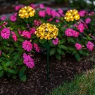 Touch Of Eco - Solar Led Metal Flower Stake Light TOE301 Yellow. Fixed Price $20.25.