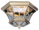 Livex Lighting 7053-01 Monterey/georgetown Outdoor Ceiling Antique Brass. Fixed Price $269.96.