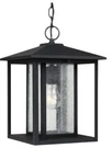 Sea Gull Outdoor Pendant With Clear Seeded Glass Shades, Black, 62027-12. Fixed Price $74.97.