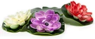 Solar Lily Lights For Pond. Fixed Price $23.49.