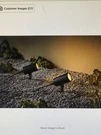 Hampton Bay Black Adjustable Light Color Led Outdoor Flood (4-PACK). Fixed Price $65.00.