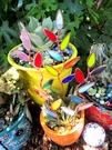 Stained Glass Garden Stakes Flower Stems (X3 Mulitcolor Leaves) Suncatchers. Fixed Price $36.00.