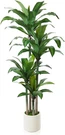 6FT Artificial Dracaena Tree With White Planter - Faux Indoor Decor. Fixed Price $166.99.