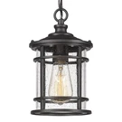 Emliviar Modern Outdoor Pendant Light - Hanging Porch With Seed.... Fixed Price $102.51.