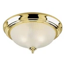 Westinghouse 6430200 Two-light Indoor Flush-mount Ceiling Fixture. Fixed Price $49.99.