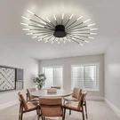 Creative Firework Ceiling Lamp With Plug-in Led Source 28 Lights,black. Fixed Price $117.05.
